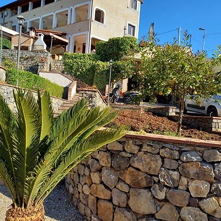 Country House B&B Antica Dimora Del Sole Camerota Eksteriør billede
