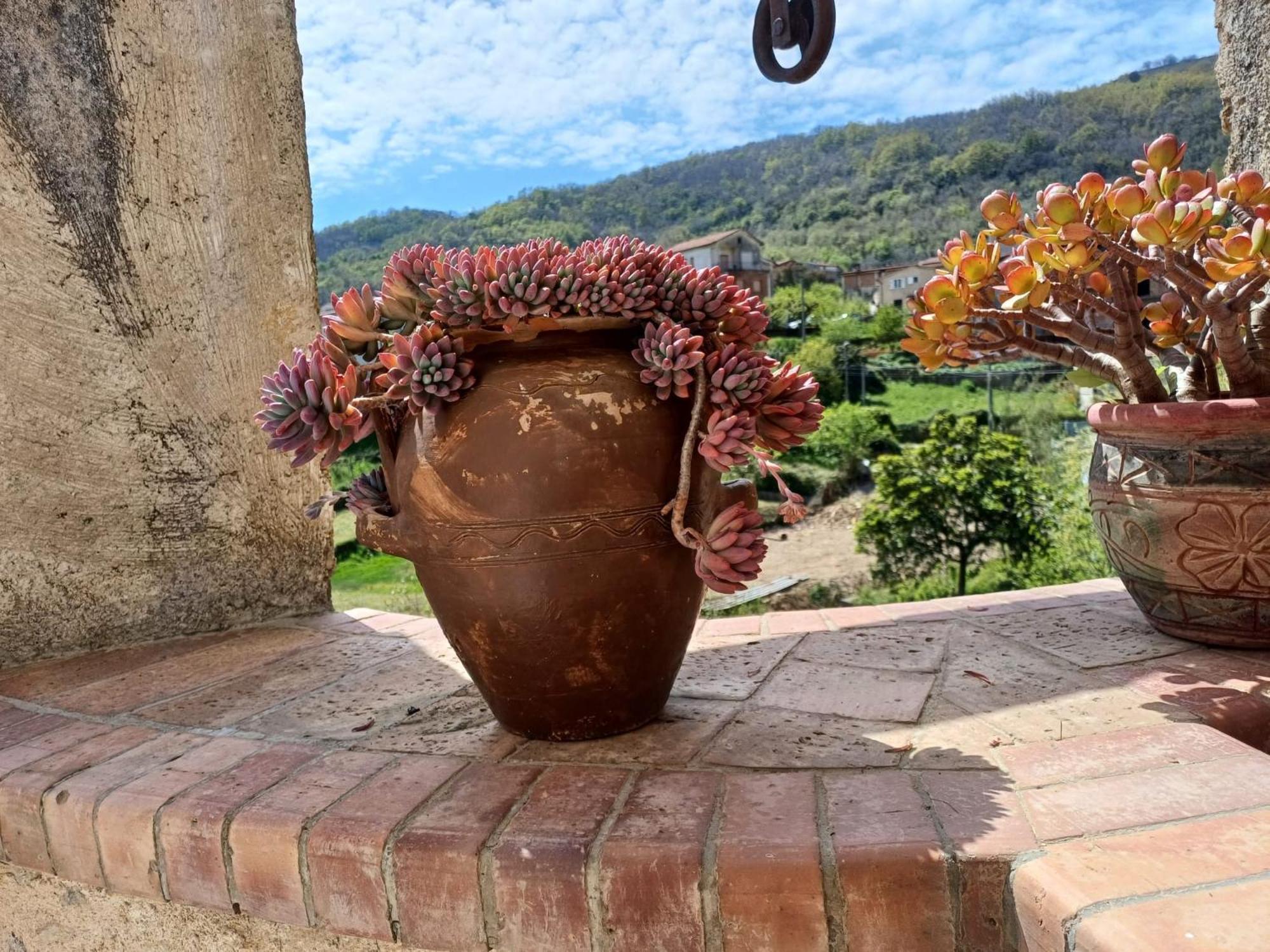 Country House B&B Antica Dimora Del Sole Camerota Eksteriør billede
