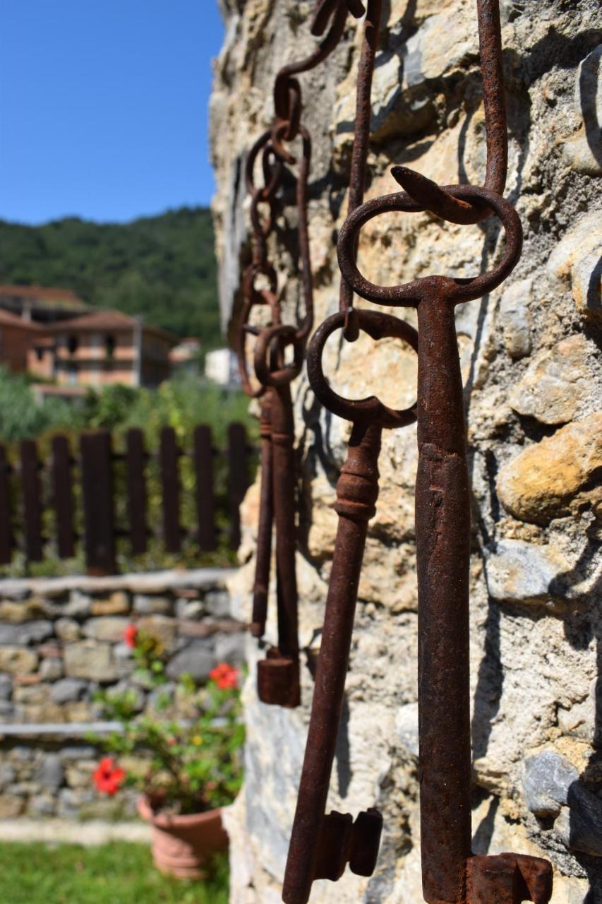 Country House B&B Antica Dimora Del Sole Camerota Eksteriør billede